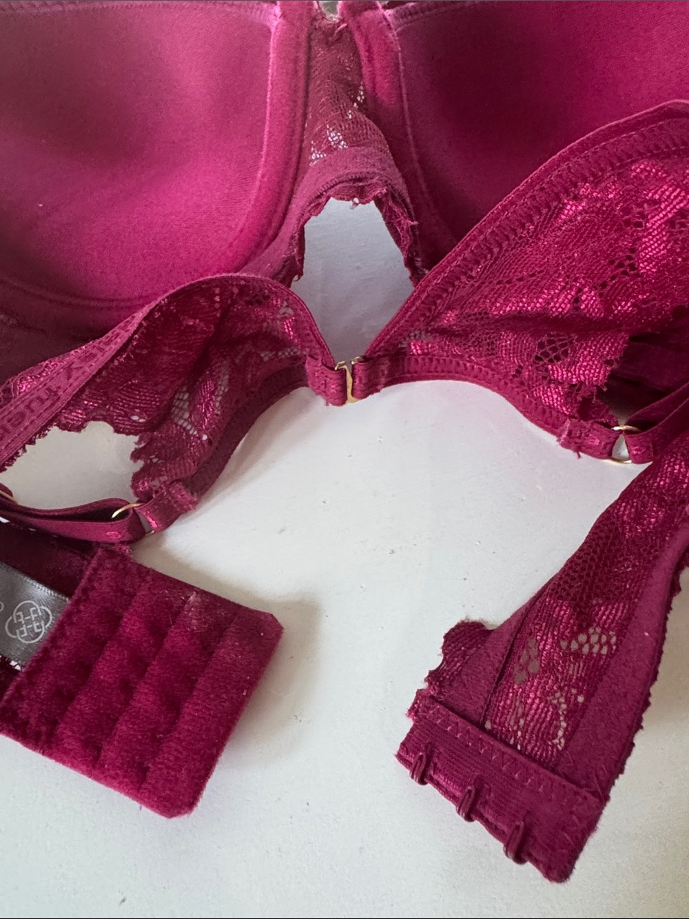 Daisy Fuentes Deep Raspberry Lace Push-Up Bra - Picture 5 of 5